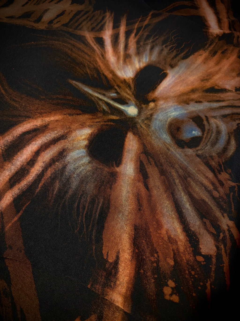 ORACLE OF FEATHERS COLLECTION