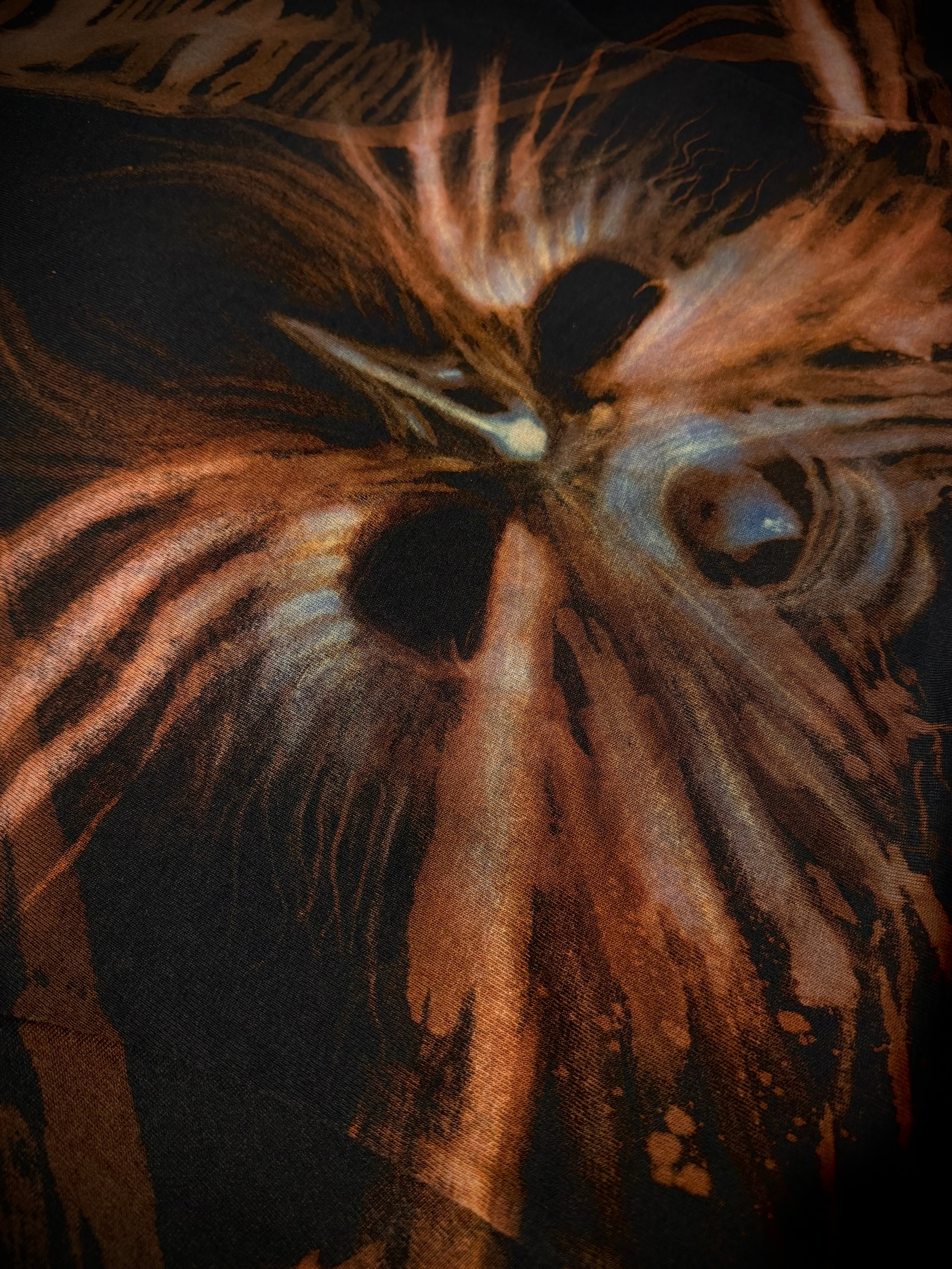 ORACLE OF FEATHERS COLLECTION